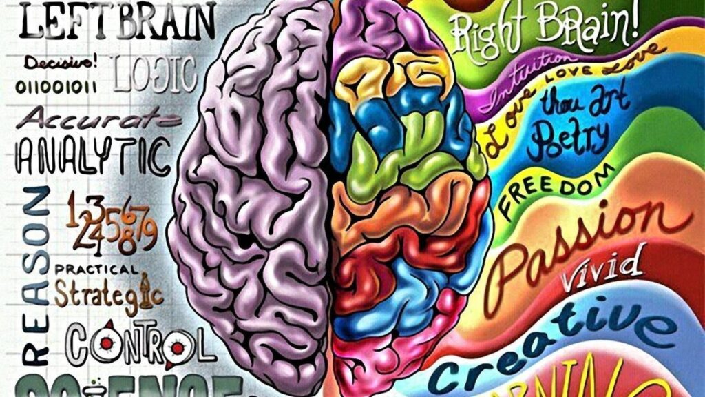 left right brain